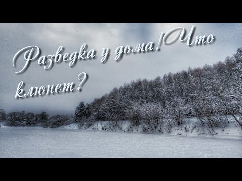 Видео: Рыбалка-разведка у дома перед Новым Годом!