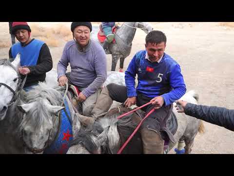 Видео: Alaman  ulak   Kok-Talla  Кок-Талаа   Аламан  улак