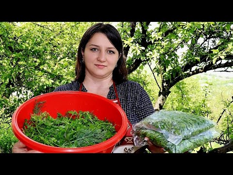 Видео: Մայրիկիս Այգու Կանաչին Ուղարկում Եմ Սառցարան-Зелень на Зиму-3 Способы Заготовки-Շամշադին-Шамшадин