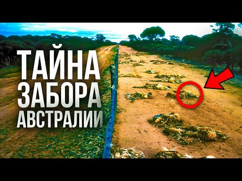 Видео: Что СКРЫВАЕТ ЗАБОР В АВСТРАЛИИ на самом деле? Вся правда про обратную сторону загадочной стены