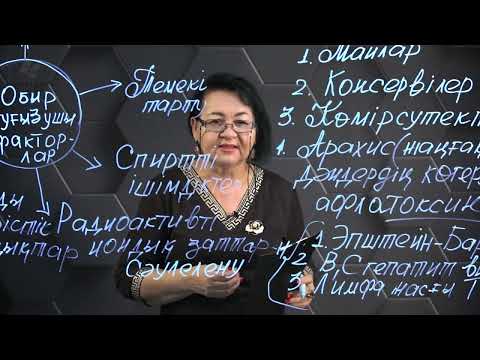 Видео: Обыралды жағдайлардың туындауына әсер етуші факторлар. 2 бөлім. 10 сынып.