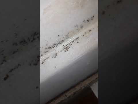 Видео: Доработка крыши МТЗ-82.1 #1