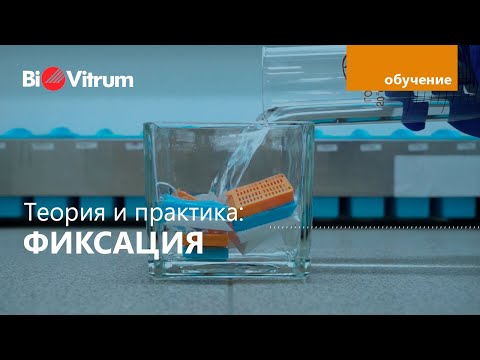 Видео: Фиксация образцов в формалине: как?