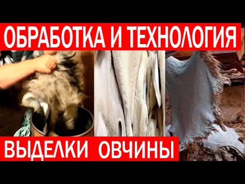 Видео: Выделка овечьей шкуры. Схемы обработки шкур. ЧАСТЬ 1