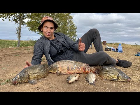 Видео: Ақылы көл "Белый дом". Карп аулау 2021 жыл. Карповое рыбалка. Carp fishing.