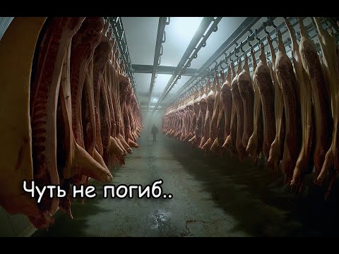 Видео: ПОЖАЛЕЛ ЧТО СЮДА ЗАШЁЛ! Здесь изготавливали колбасу, тушёнку и пр. ЗАБРОШЕННЫЙ МЯСОКОМБИНАТ.