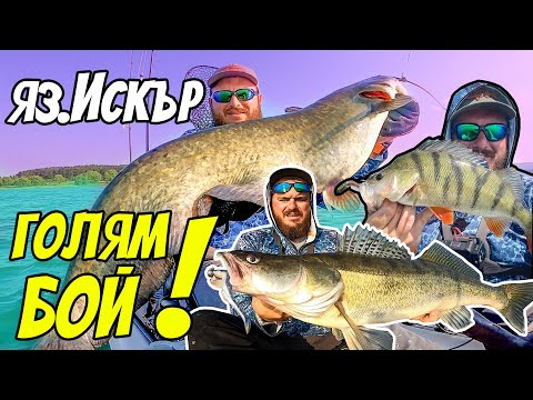 Видео: СОМОВЕ, КОСТУРИ И БЕЛИ РИБИ!! Запомнящ се Риболов на язовир Искър