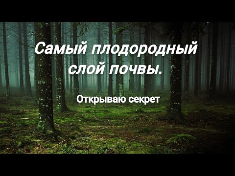 Видео: Биом: биологический слой органики для урожаев /содружество грибов и микробов №413/24