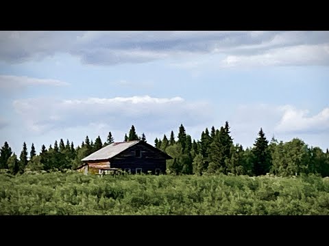 Видео: Заброшенный дом у таежной речки. Изба без окон. Поход по северной реке