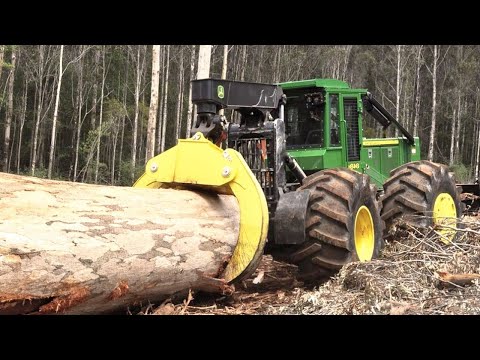 Видео: Невероятная Лесозаготовительная Техника.  Успей Посмотреть