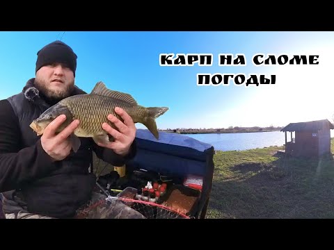 Видео: Карповое эльдорадо. Мой первый в жизни платник.