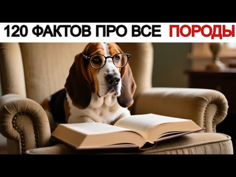 Видео: Эти Факты И Тайны Перевернут Ваше Представление О Лучшем Друге Человека!