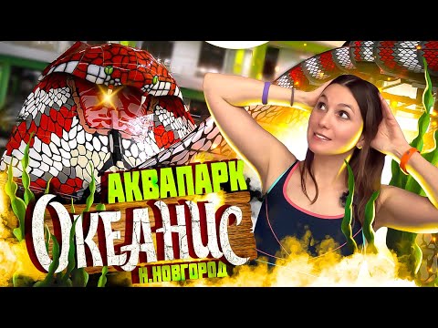 Видео: ОКЕАНИС Н.Новгород - Лучший АКВАПАРК? / Билеты и Цены - ДОРОГО! Куда сходить в нижнем в Нижнем!