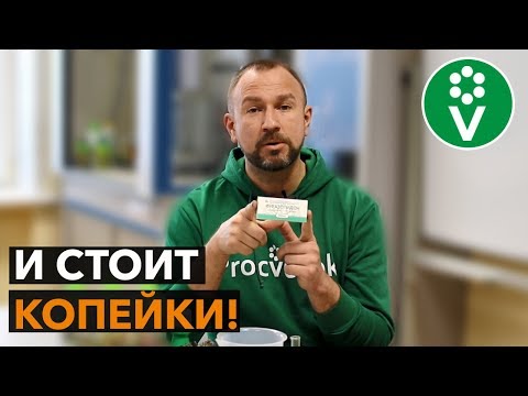 Видео: Это средство от БАКТЕРИАЛЬНОГО ОЖОГА продается в каждой аптеке!