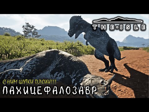 Видео: Все еще силен (Пахицефалозавр - The Isle Evrima) (v.0.18.122)