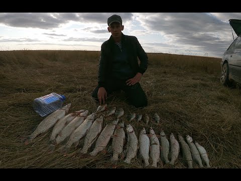 Видео: Ишим,  Рыбалка на тролинг на щуку