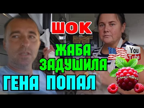 Видео: Сельчанка в Америке /Жаба задушила /Гена попал /Обзор /Funny 4 /Лиса в Америке /Big Big Family 