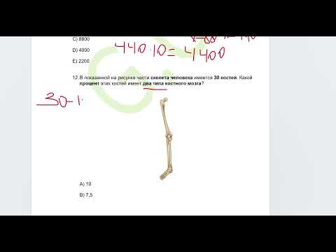 Видео: 11 класс.Тесты 