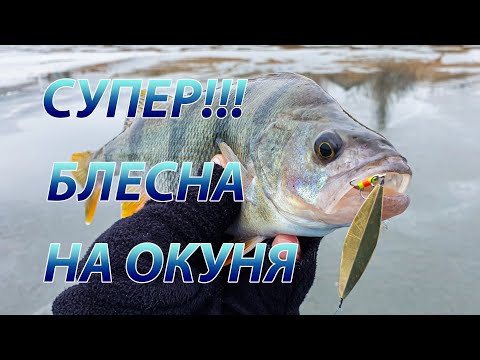 Видео: Зимняя блесна Лепесток. За окунем по старым лункам.