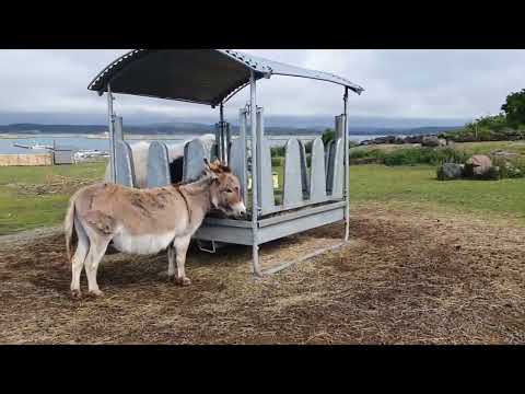 Видео: Норвежская ферма на острове.  Остров Jomfruland.