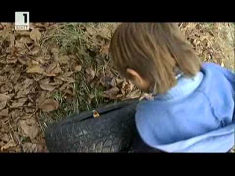 Видео: Живот извън системата - Семейство живеещо