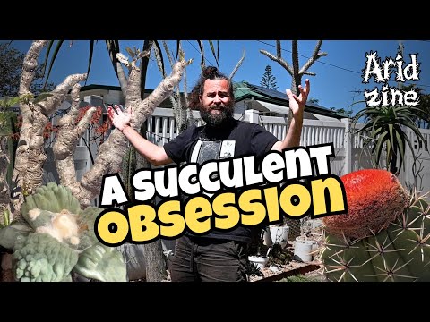 Видео: Экскурсия по невероятно редким растениям любителя суккулентов: копиапоа, каудексы и многое другое