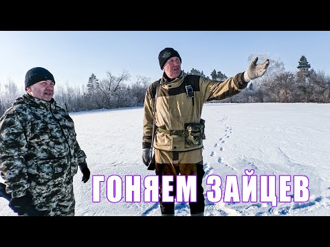 Видео: ОХОТА ГЛАЗАМИ ЗАГОНЩИКА