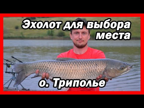 Видео: Как выбрать место ловли карпа эхолотом на новом водоёме (Триполье / Июль / 2020)