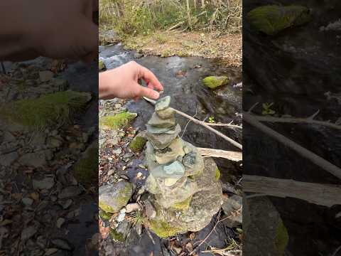 Видео: Дзен?