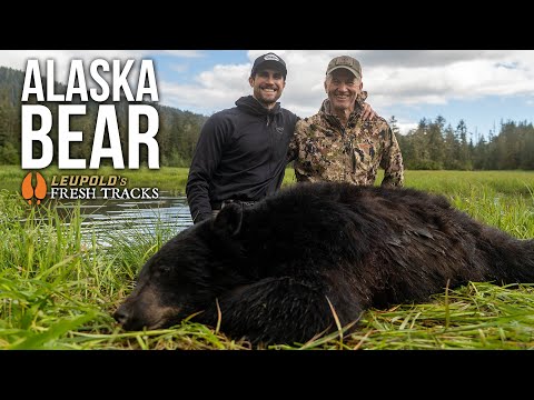 Видео: Чёрные медведи, сломанные плоты и потерянные камеры | Приключения на юго-востоке Аляски