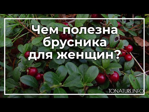 Видео: Чем полезна брусника для женщин? | toNature.Info