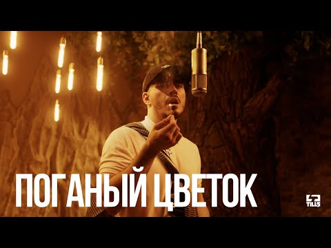 Видео: TILLS — ПОГАНЫЙ ЦВЕТОК (Official Video)