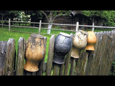 Видео: Якуб Колас "Дарэктар"