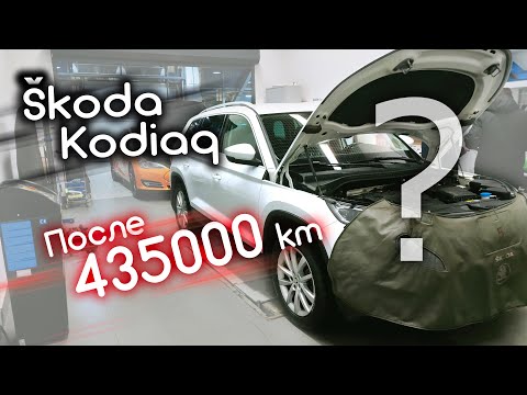 Видео: Отзыв владельца Skoda Kodiaq после 435000 км пробега! 😮 Живее всех живых?