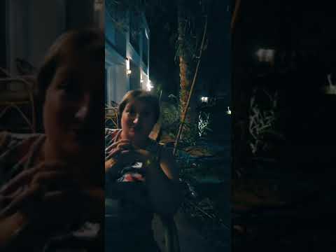 Видео: ЭФИР В ЕГИПТЕ