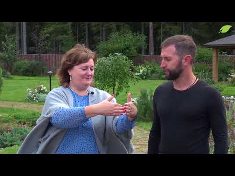 Видео: Фэн-шуй для загородного участка