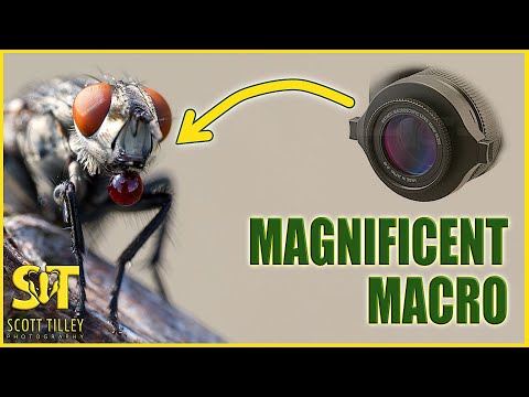 Видео: Создание потрясающих макроснимков с Raynox DCR-250