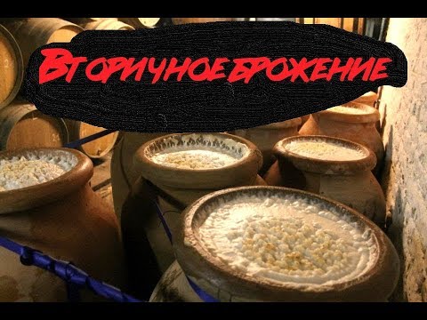 Видео: ВТОРИЧНОЕ БРОЖЕНИЕ ПИВА!!!