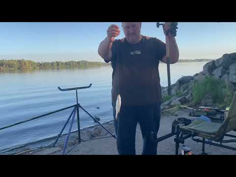 Видео: Риболовля на Дніпрі 22 09 2025