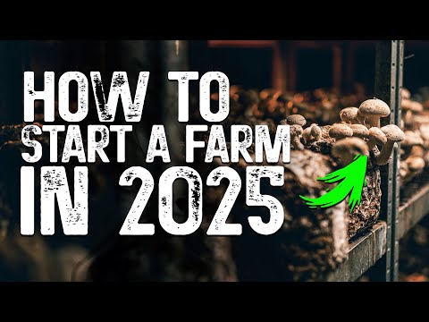 Видео: Открытие грибной фермы в 2025 году