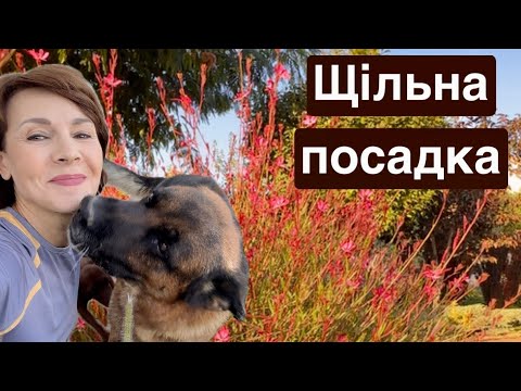 Видео: 14 вересня Щільна посадка , я напоготові! 