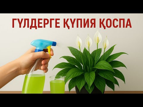 Видео: КӘДІМГІ СУ ЕМЕС ТІРІЛТЕТІН ҚҰПИЯ ҚОСПА КҮЗДЕ ҚОЛДАНУ КЕРЕК 