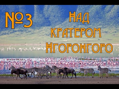 Видео: Wild Earth - Фото-сафари - Над кратером Нгоронгоро #3🐒