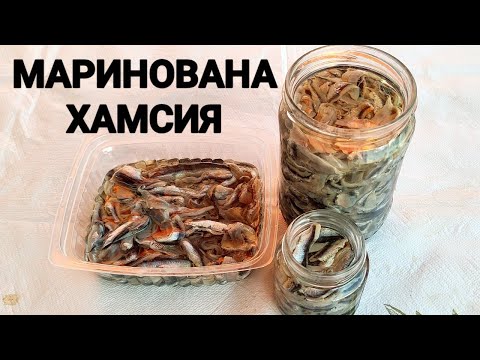 Видео: МАРИНОВАНА ХАМСИЯ! ДРЕБНА, НО МНОГО ВКУСНА РИБКА! ЗАСЛУЖАВА СИ ДА СЕ ОПИТА! СЕМПЛА РЕЦЕПТА!!!
