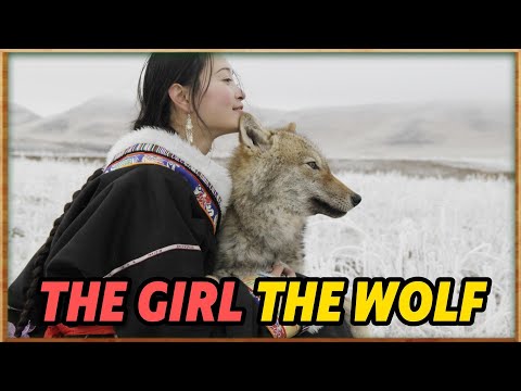 Видео: Девушка вырастила в городе молодого дикого волка, и каждую ночь он выл дома по-волчьи.