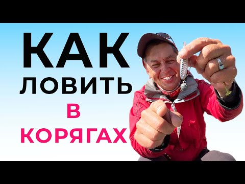 Видео: Как ловить щуку и судака в корягах! ДЖИГ Спиннинг на офсетный крючок