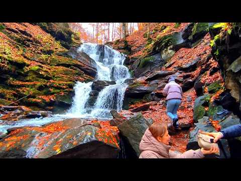 Видео: Водоспад Шипіт 2026 в Карпатах, кафе і ресторани поруч, як дійти, Закарпатська область