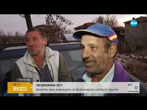 Видео: Незаконна сеч! Десетки села алармират за бракониерски набези (15.11.2018г.)