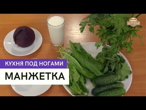 Видео: Манжетка \ Кухня под ногами