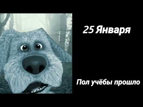 Видео: Какое сегодня число: